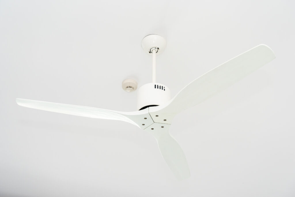 Ceiling fan